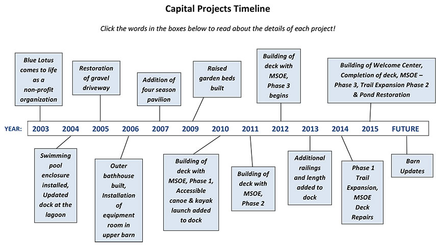 capital projects timeline flow chart