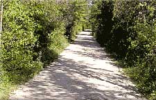 driveway project after