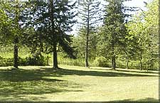 pavilion project before