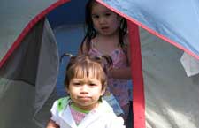 program development project